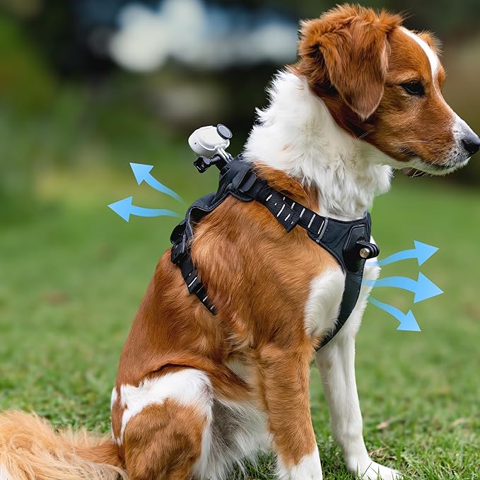Insta360 GO 3/GO 3S Pet Harness Mount Size S