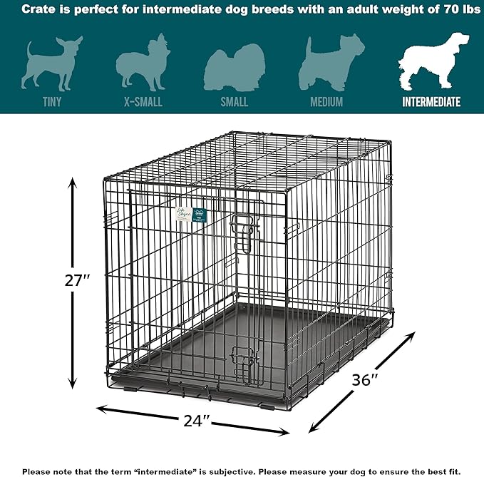MidWest Homes for Pets Intermediate LifeStages Single Door 36-Inch Folding Dog Crate, Enhanced Security, Includes Leak-Proof Pan, Divider Panel, Handle, Rubber Feet