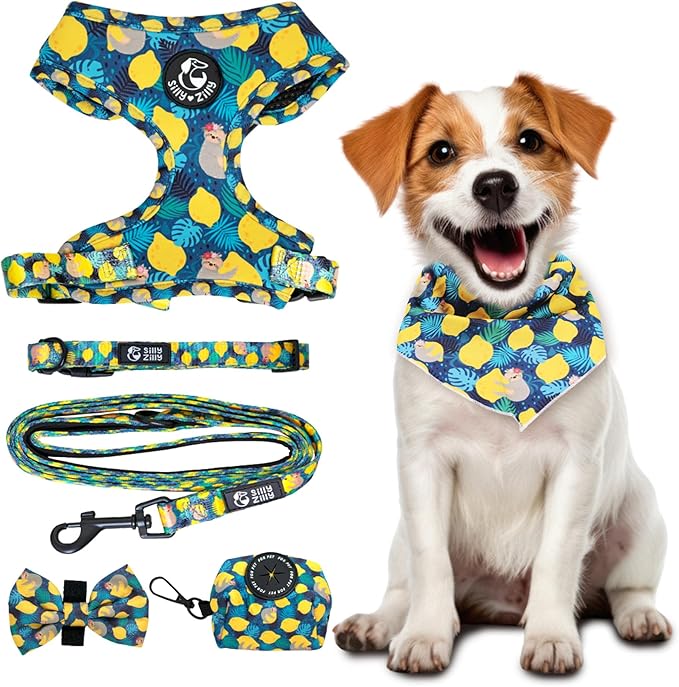No Pull Harness and Leash Set - 6-in-1 Adjustable Vest Harness and Collars for Medium and Large Dogs. (Lemon, Small)
