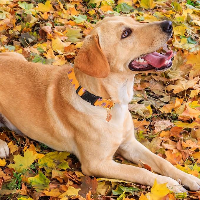 Cotton Handmade Dog Collar Cute and Distinctive Patterns Yellow Rose with Pendant for Girl Boy Dogs Collars M