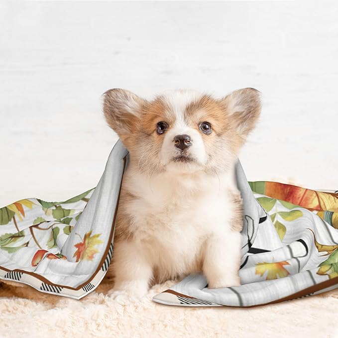 Fall Blanket for Pet - Wood Throw Blanket 30x20 Pumpkin Birds Sunflowers Couch Blankets for Puppy Dogs Cats