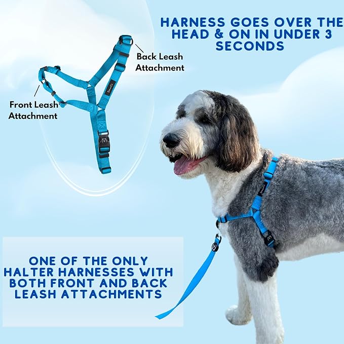 ShawnCo Dream Walk No-Pull Dog Harness- Adjustable, Comfortable, Easy to Use Pet Halter to Help Stop Pulling for Small, Medium and Large Dogs (Oceanic Blue, S)