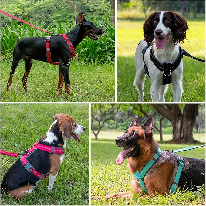 Plutus Pet No Pull Dog Harness, Adjustable Nylon Harness with Soft Padding, Reflective and Heavy Duty Dog Harness for Small, Medium, Large Dogs(Gray, XS)