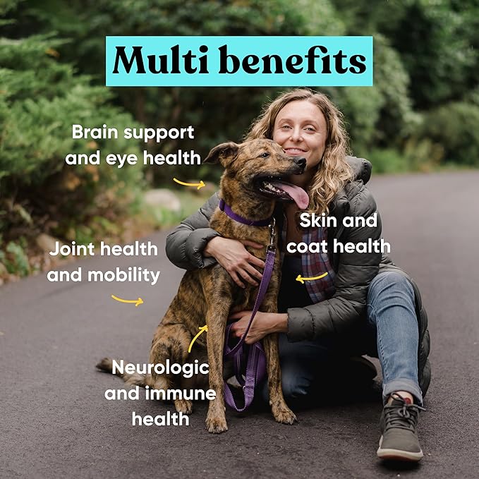 Embark Dog Multibenefit – All-in-1, Supplements for Dogs – Glucosamine, Chondroitin, Joint Support – Skin, Coat, Brain, and Immune Health – Vet-Formulated and All-Natural – 90 Soft Chews