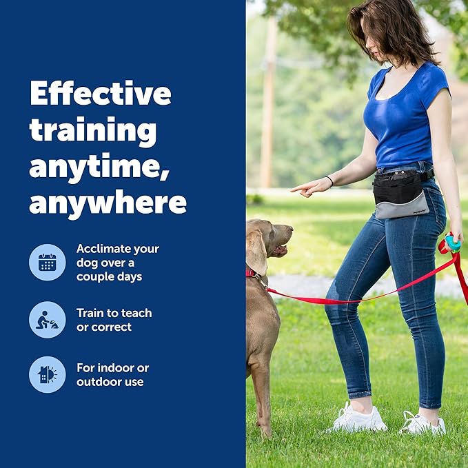 PetSafe Clik-R Training Tool - Positive Behavior Reinforcement - Ergonomic Design - Compact Finger Band - Daily Training Accessory - Clicker for Dogs & Cats - Teal