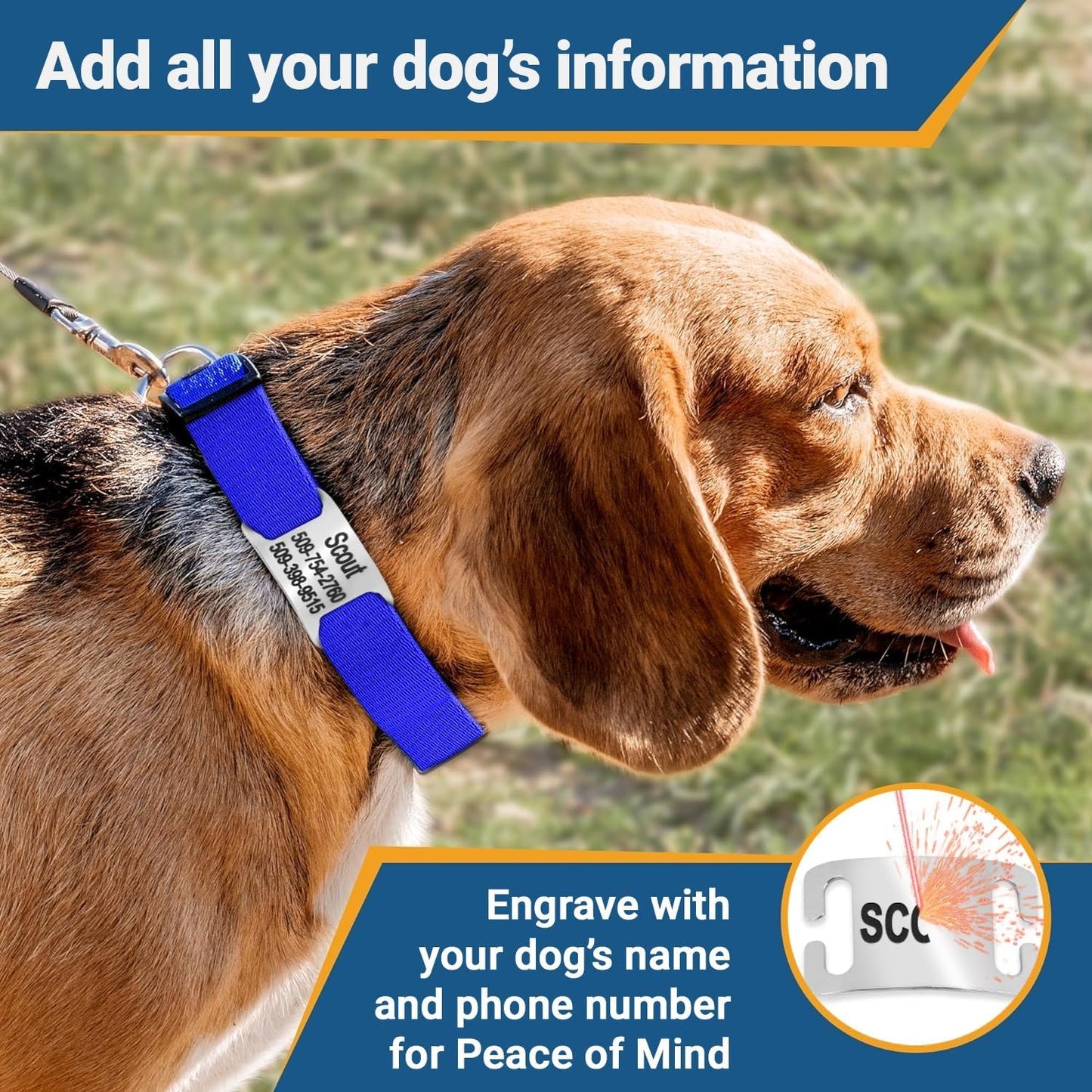 GoTags Reflective Personalized Dog Collar with Nameplate, Adjustable Dog Collar with Custom Engraved Steel Slide On Pet ID Tag, Silent, No Noise Dog Tag for Large Medium or Small (Light Gray, Small)