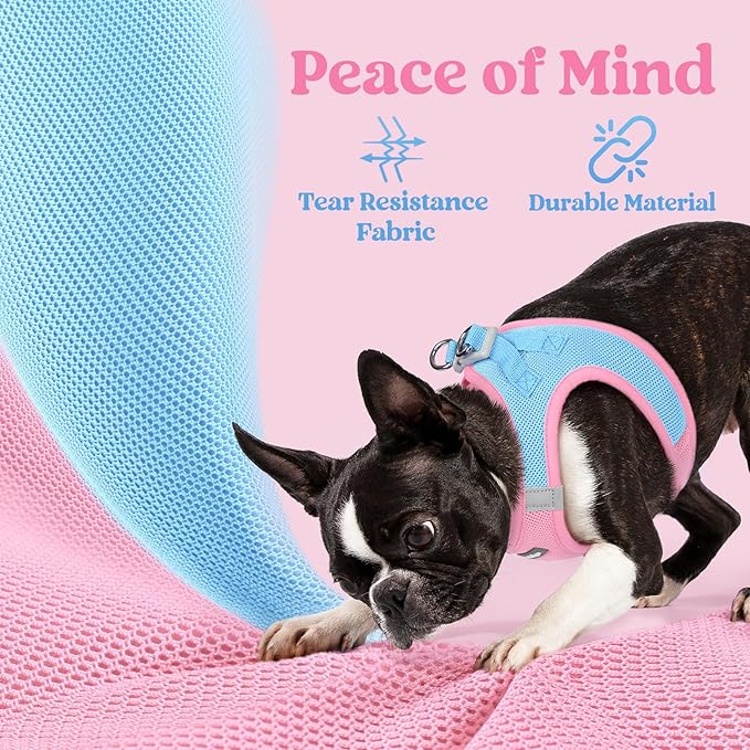 rabbitgoo Small Dog Harness, Step-in Soft Mesh Puppy Vest with Safety Buckle, Breathable Reflective Pet Harness for Small Medium Dogs, Blue & Light Pink L