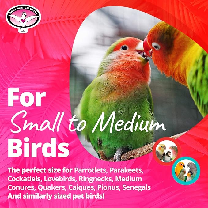 Super Bird Creations SB1086 Having a Ball Bird Toy for for Parrotlets, Parakeets, Cockatiels, Lovebirds, Ringnecks - Multi-Colored Rattle Ball, Cute Charms - Small/Medium Bird Size, 6" x 2" x 2"