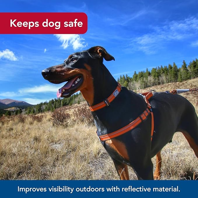 Coastal Pet K9 Explorer Reflective Adjustable Padded Dog Harness - Plush Chest Pad for Comfort - No-Pull Dog Harness for Small and Large Dogs - Campfire Orange - 1" x 26"-38", Large