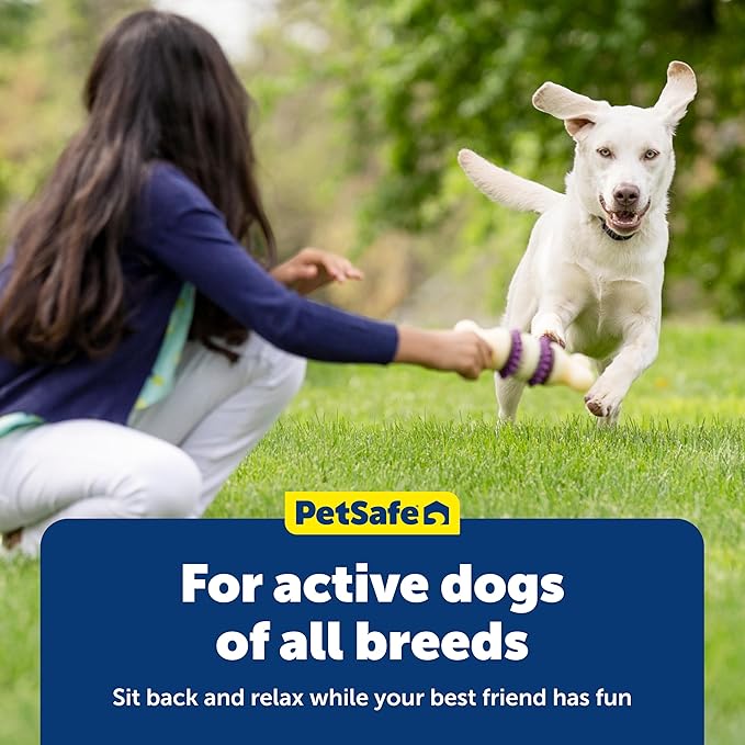 PetSafe Busy Buddy Rawhide Treat Rings - Quality Dog Treats - Training Reward - Original Rawhide & Peanut Butter Flavors - Size A - 24 Rings