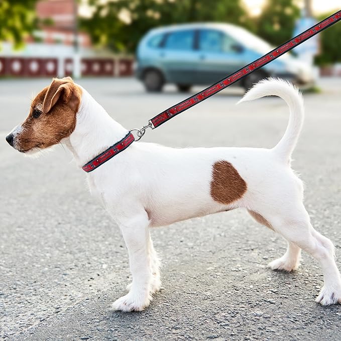 Pets First NFL Tampa Bay Buccaneers Licensed PET COLLAR, Medium - Heavy-Duty, Strong, and Durable Dog Collar. Available in 31 Football Teams and 4 Sizes