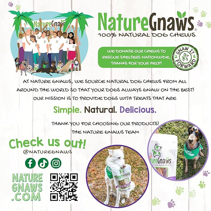 Nature Gnaws Pork Bully Stick Pretzels for Dogs 4-5" (15 Count) - Long Lasting for Light Chewers and Small Dogs - Natural Bacon Dog Chew Treats - Rawhide Free