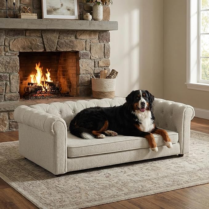 Elevated XL Large Dog Sofa with Backrest and Armrests, 55" Button Tufted Dog Couch Bed with Soft Cushion for Large Dogs, Stylish Lounging Bed Pet Couch Chair, 120Lbs Weight Capacity, Beige