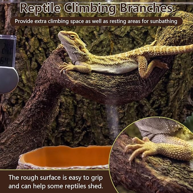 BNOSDM 2PCS Natural Reptile Climbing Branches Decor,1.8-2.2" Thick Natural Snake Climbing Forest Wood with Plant Leaf Decor,Lizard Forest Branch,Geckos Tank Tree Trunk Accessories for Bearded Dragons