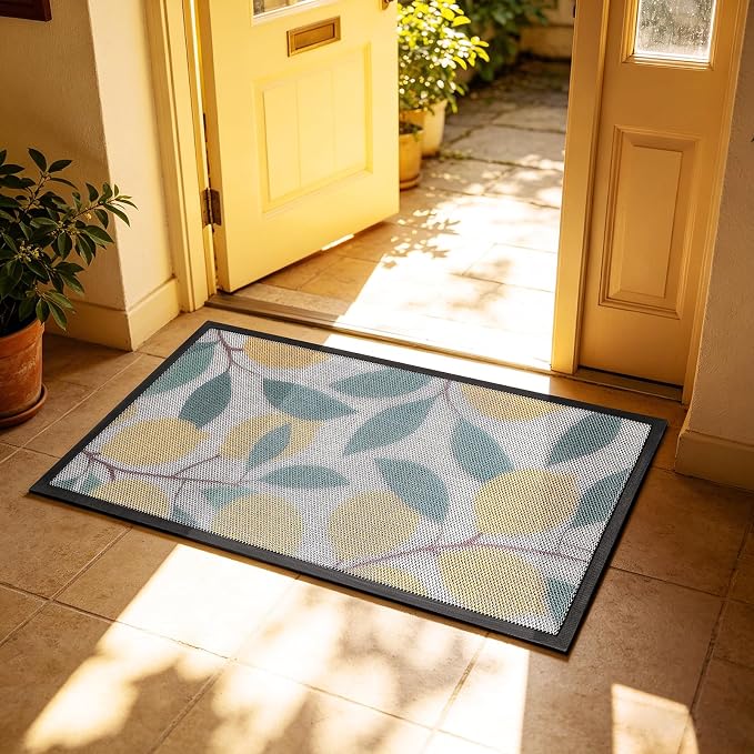 Front Door Mat, Heavy Duty Non-Slip Rubber Dirt Trapper, Quick-Dry Low-Profile