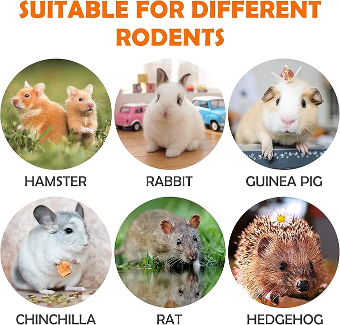 Sofier Timothy Hay Treats Rabbit Toys Bunny Guinea Pig Hamster Natural Chews for Teeth Handmade Rabbit Chews and Treats Chinchilla Rat Gerbil