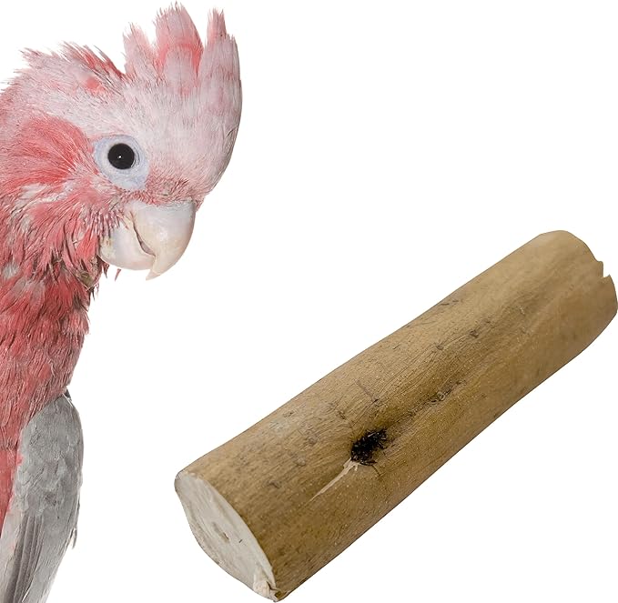 by M&M 5514 Pk4 Bark Sola Logs - Lightweight Chewable Wood Bird Foot Toys, Easy to Chew, Versatile in Uses, Breaks Apart, Foraging Fun, Great for Small and Medium Size Pets