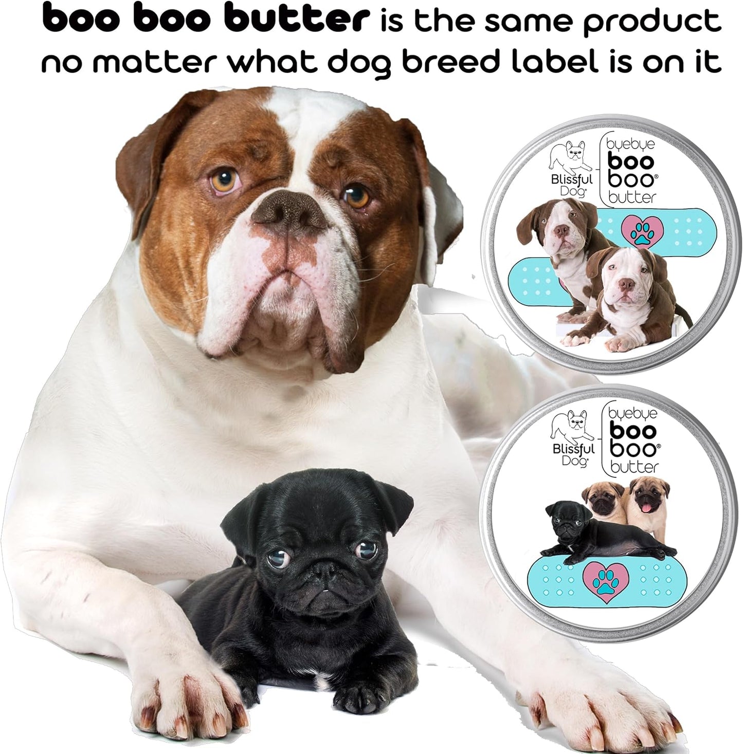The Blissful Dog Springer Boo Boo Butter, 16 oz.