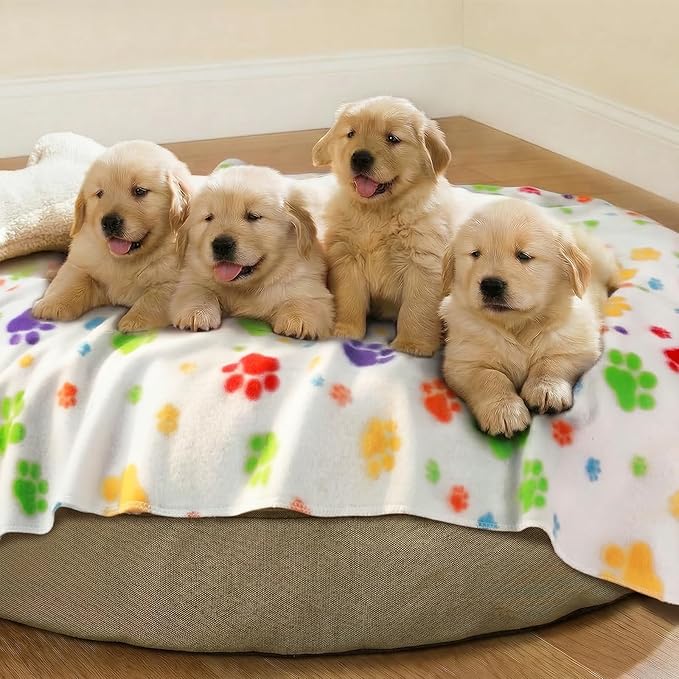 LINENLUX Cute Dog Blanket for Small Medium Dogs 6-Pack Soft Stretchy Fleece Blankets for Pet Cat Puppy Warm Wrinkle-Resistant Throw for Couch Bed Outdoor Mix 31x24 inch (Pack of 6)