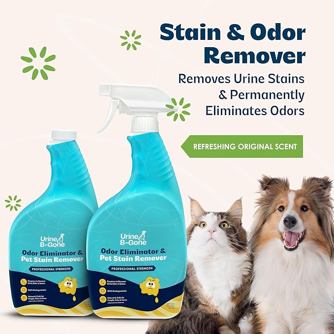 Urine B-Gone, Professional Enzyme Odor Eliminator & Pet Stain Remover, Human, Cat & Dog Urine Cleaner, Effective on Laundry, Carpets & More, Original Scent, 32oz, Pack of Two
