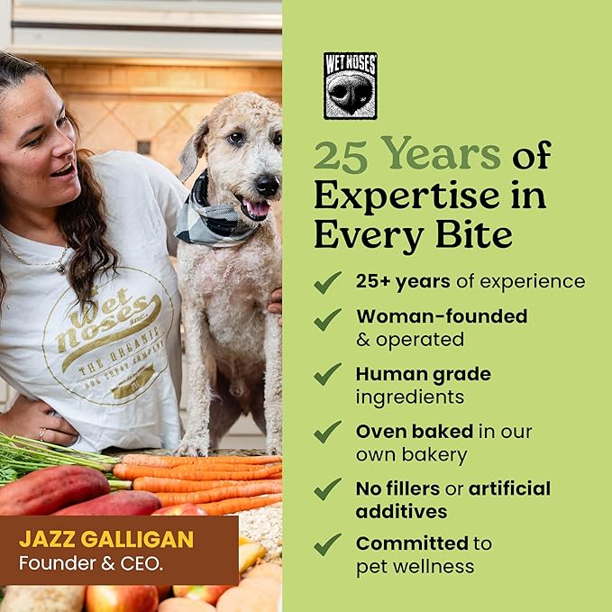 Wet Noses Organic Crunchy Dog Treats Grain Free – All-Natural, Human-Grade, Non-GMO, Healthy Training & Delicious Snacks for Dogs, for All Dog Sizes & Breeds – Apple Ginger, 14oz (2 Pack)