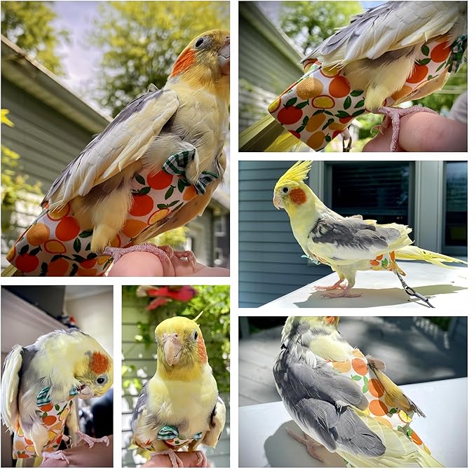 5 Pcs Bird Diapers Bird Harness Flight Suits Diapers Reusable Parrot Nappy with Waterproof Inner Layer Washable Cute Urine Wet Suit Costume for Cockatiel Conure Budgie Macaw Parakeet,L