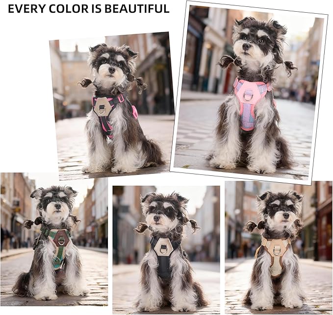 Small Dog Harness and Leash Set, Breathable Mesh Puppy Harness, Adjustable Dog Harness for Small Medium Large Dogs, No-Pull Pet Harness for Daily Walking (Faint Yellow, X-Large)