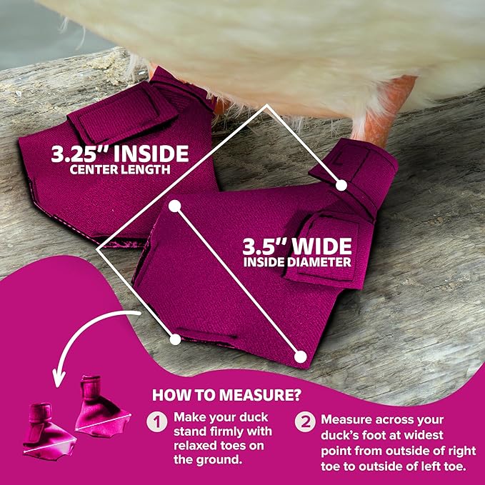 Duck Shoes for Injured Feet – Protective Neoprene Footwear for Ducks, Protective Shoes for Birds with Injured feet, Bumblefoot Relief - Medium, 3.5” Max. Inside Width - Pink