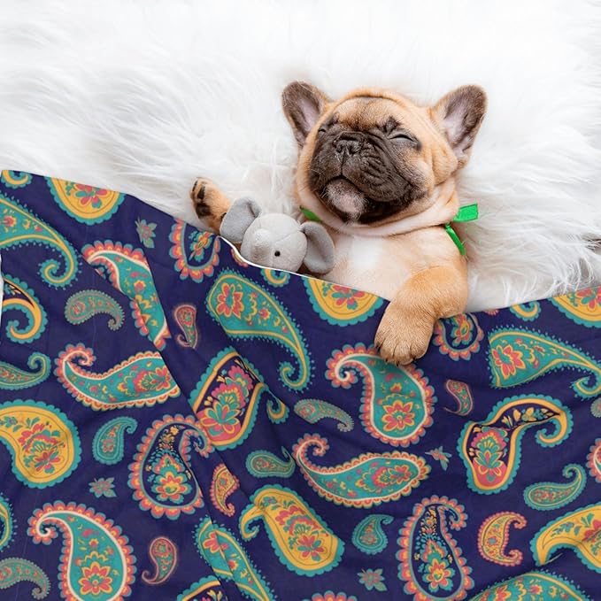 Two Sided Plush Pet Blanket for Crates Carriers Home Use, Colorful Paisley Flowers, Reversible Throw with Cozy Dot Fabric and Silky Reverse for Small Large Pets