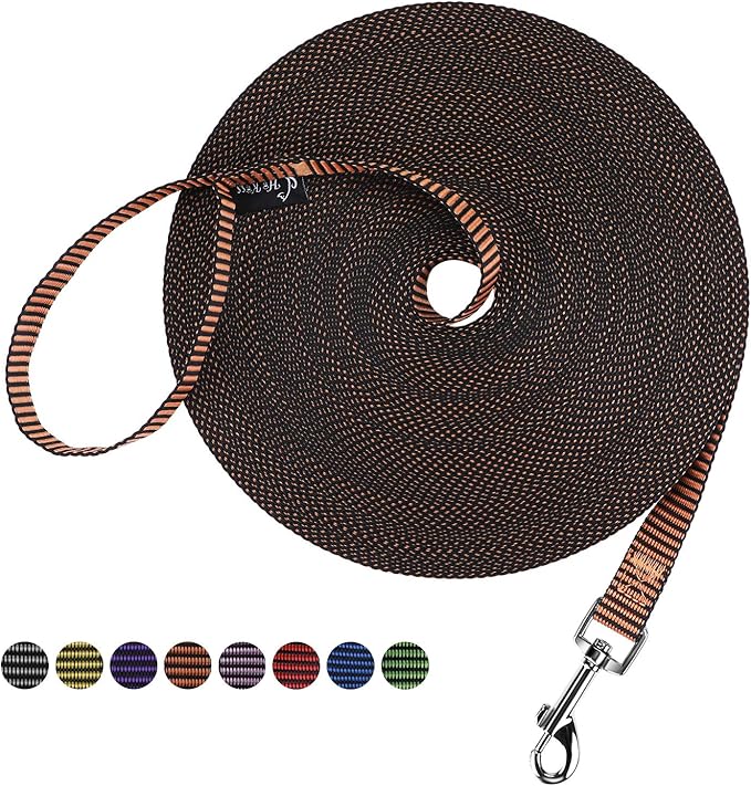 Hi Kiss Dog/Puppy Obedience Recall Training Agility Lead - 15ft 20ft 30ft 50ft 100ft Training Leash - Great for Training, Play, Camping, or Backyard(20ft,Black_Orange)