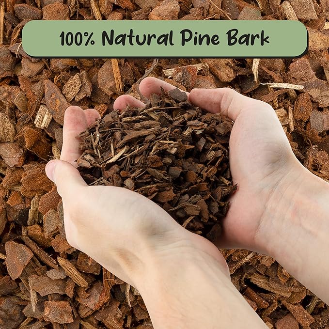 Soil Sunrise 100% Organic Orchid Potting Bark (8 Quarts) All-Natural USA-Sourced Pine Bark Orchid Mix Additive