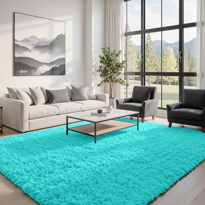 6x9 Area Rugs for Living Room Rug: Soft Fluffy Shag Teal Blue Rugs for Bedroom