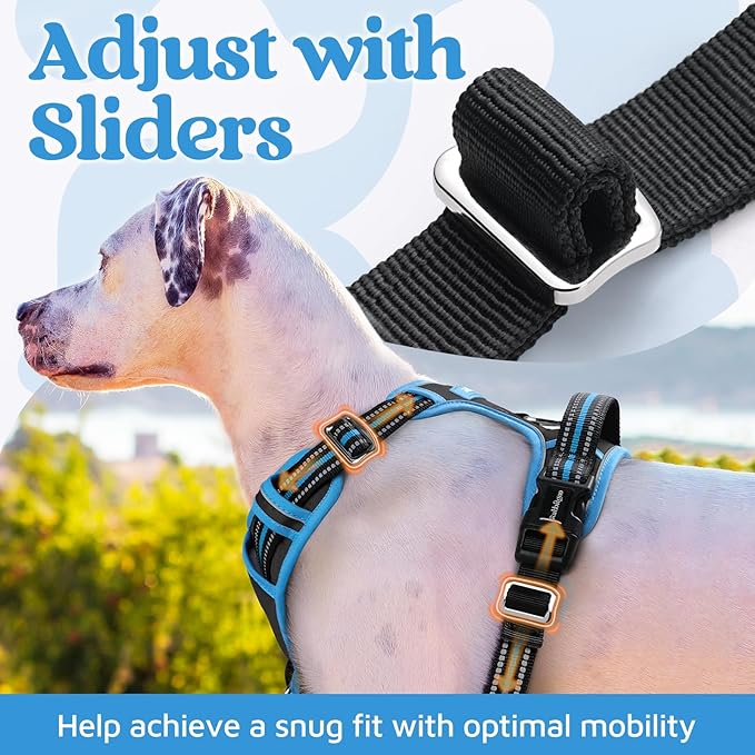 rabbitgoo Dog Harness Small Sized, No Pull Dog Vest with 3 Buckles, Adjustable Soft Padded Pet Harness with Easy Control Handle and Reflective Strips, Black & Sky Blue, S
