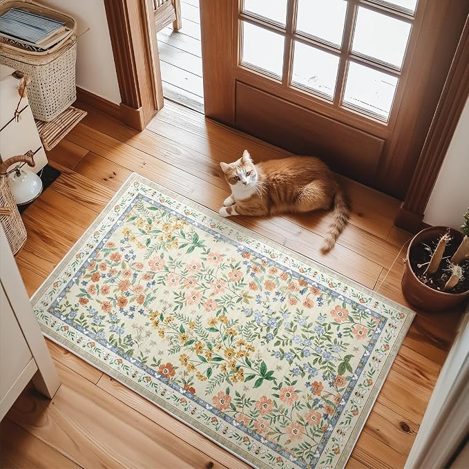 Machine Washable Area Rugs for Entryway: Door Mat Indoor Entrance 2x3 Small