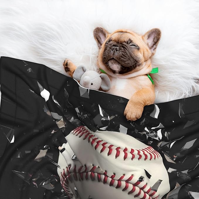 Waterproof Dog Blanket Soft Pet Blanket for Puppy Cat, Fleece Cat Throw Blankets for Furniture Bed Couch Sofa Reversible - Baseball Breaking Glass