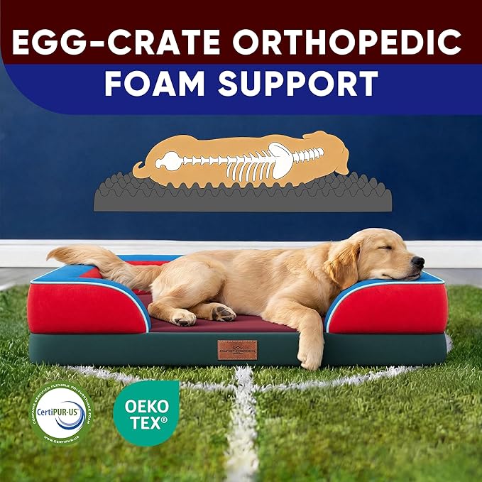 Comfort Expression Orthopedic Dog Bed for Large Dogs 36x27 Inch, Waterproof Egg Crate Foam Large Pet Bed with Removable Bolsters, Dog Couch with Washable Cover & Non-Slip Bottom, San Francisco