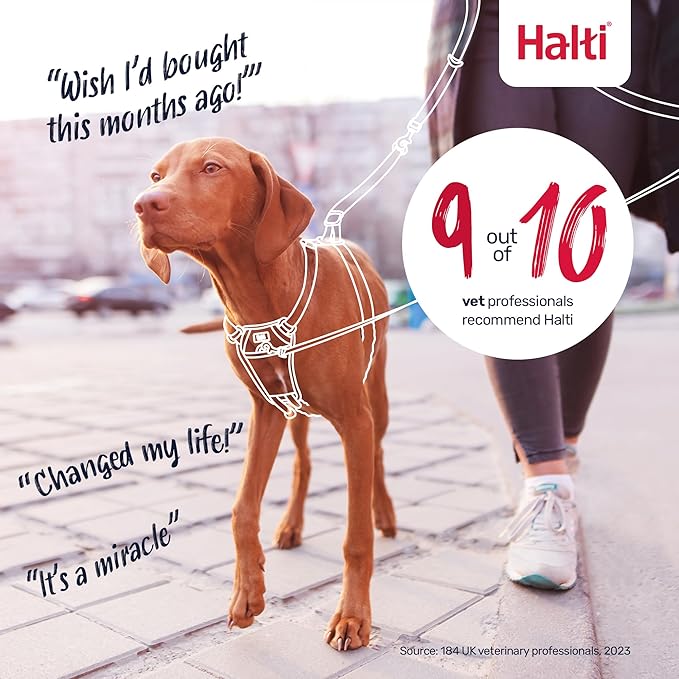 Halti No Pull Harness - Stop Your Dog Pulling on The Leash. Adjustable, Lightweight and Easy to Use. Reflective Dog Training Harness for Toy and Small Dogs (Size XS, Deep Walnut)