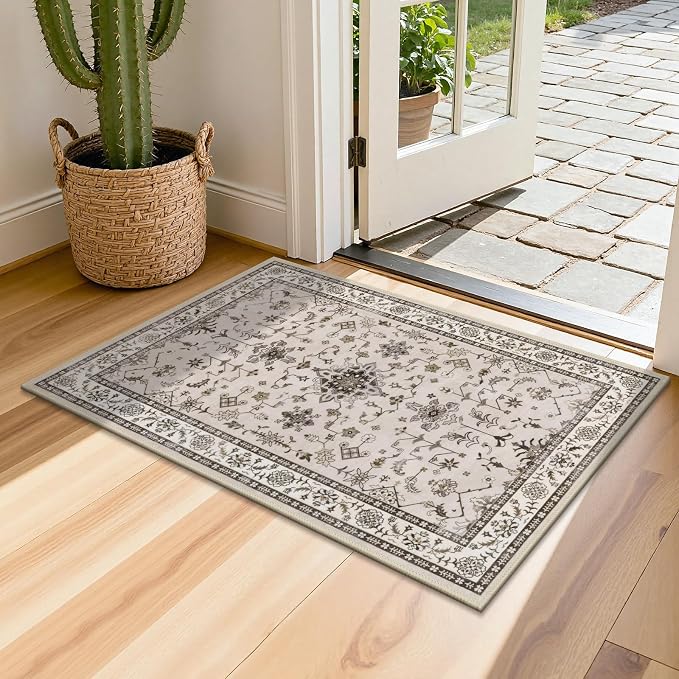 HEBE Washable Aera Rug 2'x 3' Non Slip Door Mat Indoor Entrance, Low Pile