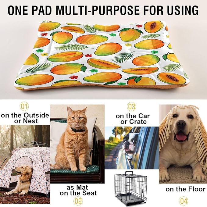 Mango Fruit Dog Beds Crate Pad Washable Pet Mat for Dogs Cats, Non-Slip Travel Bed Pad, Indoor Outdoor Kennel Pad 24x18in