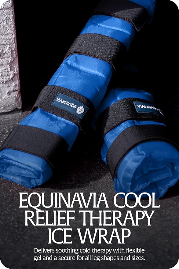 Equinavia Cool Relief Therapy Ice Boots Leg Wraps for Horses, Gel Pack with Adjustable Straps | 16.5" x 15.5" Single - Royal Blue - Single - One Size