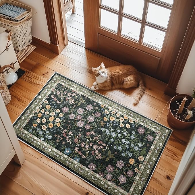 Machine Washable Throw Rugs for Entryway: Door Mat Indoor Entrance 2x3 Rug