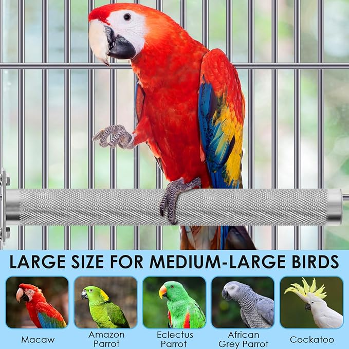 KATUMO Conure Perch - Stainless Steel Bird Stand Rough-surfaced Branch for Small Birds (6 x 0.7 inch)