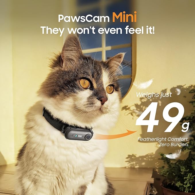 4K UHD Cat& Dog Pet Camera Collar, Video Recorder with Phone App Live View, Outdoor & Indoor POV Action Cam for Kitty and Big Cats(White - Pink Waterproof Collar - S, 128g)