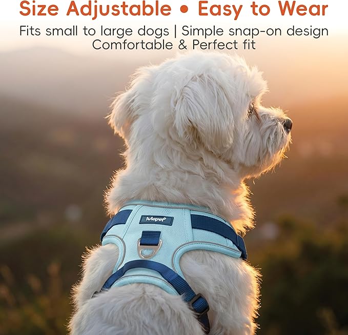 3 in 1 No Pull Dog Harness Leash and Collar Set, Soft Adjustable Dogs Vest Reflective and Comfortable Handle Blue Medium