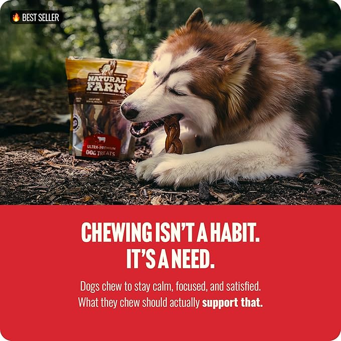 Natural Farm Odor-Free Braided Bully Sticks (4-5 Inch, 10 Pack) - 100% Grass-Fed Beef, Grain-Free, Low Fat & Fully Digestible Best Dental Treats, Safest Long Lasting Pizzle Chews to Keep Your Dog Busy