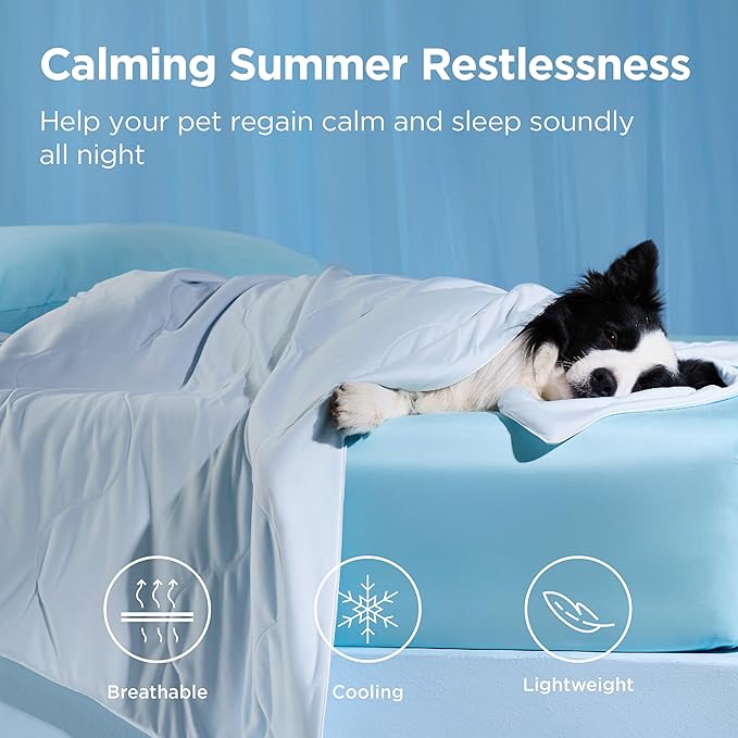 Bedsure Cooling Blanket for Large Dogs with Breathable Air-Core Fill Q-MAX>0.4 - Lightweight Pet Cat Throw Cold Blanket Washable for Summer，Soft Dog Cooling Mat for Couch Bed, Arctic Blue, 50x60