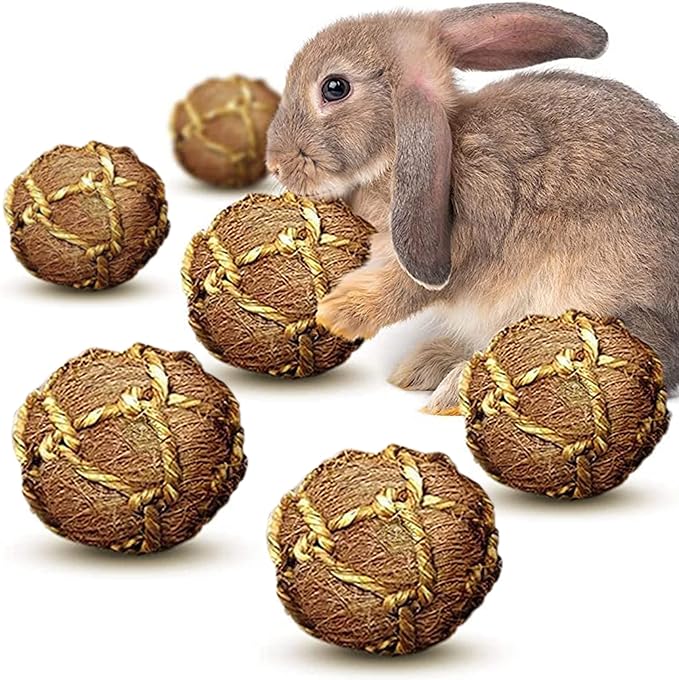 SunGrow Assorted Rabbit & Cat Chew Balls, Teething Activity Toy for Pocket Pets, Improves Dental Health, Environment Friendly, Stress Reliever (Coco Fiber, 6 Pcs)