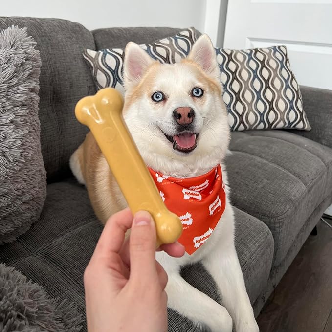 Nylabone Customer Favorites Power Chew Toy Bundle for Dogs, Indestructible Dog Toys for Aggressive Chewers, Pack of 3 Dog Toys, Flavor Medley, Small Dogs - Up to 25 lbs, 3 Pack