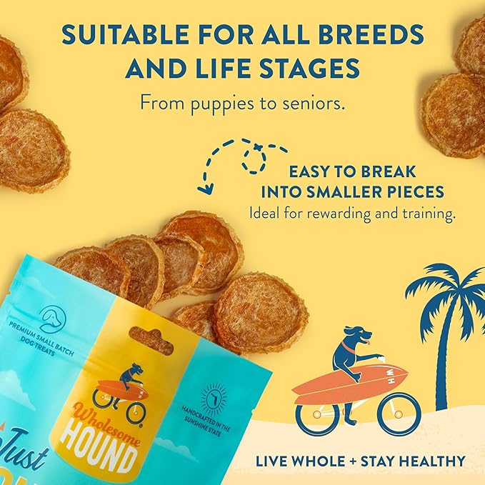 Chicken Chips – Single Ingredient Dog Treats, All Natural & Healthy Training Snacks for Small, Medium & Large Breeds, Puppies – High Protein, Made in US 3oz