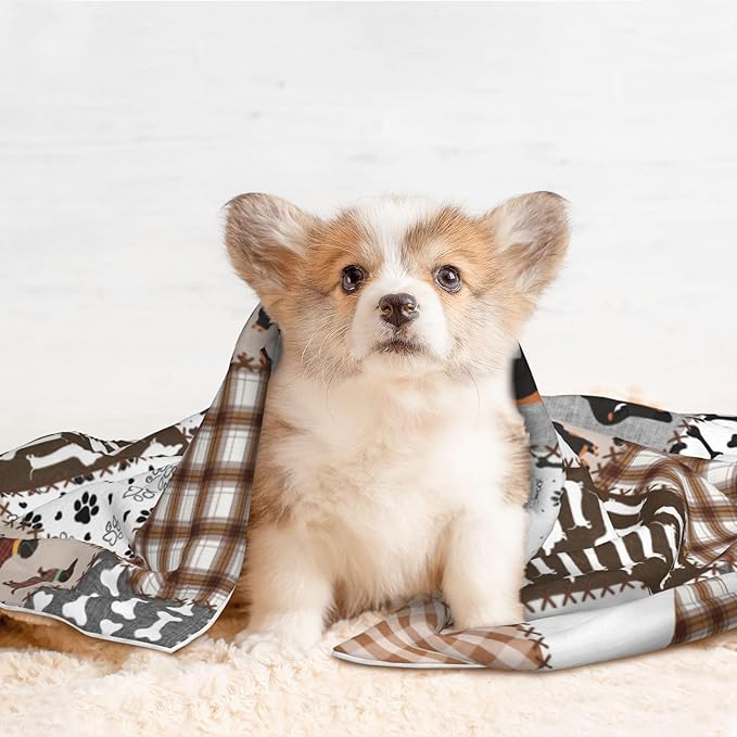 Dachshund Dog Throw Blanket - Buffalo Plaid Blanket for Dog Cat Paw Print Pet Blankets 23x16 for Couch Sofa Bed
